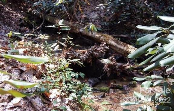 Lot 361 Hickory Nut Lane Lake Lure NC 28746