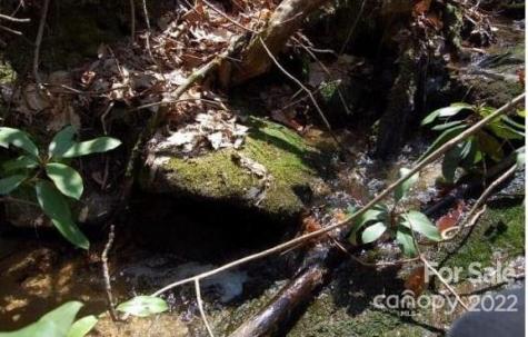 Lot 361 Hickory Nut Lane Lake Lure NC 28746