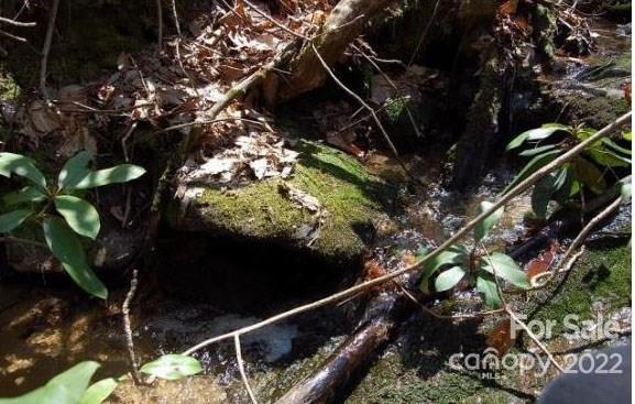 Lot 361 Hickory Nut Lane Lake Lure NC 28746
