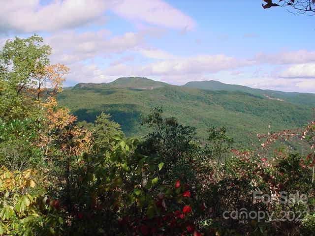 Lot 361 Hickory Nut Lane Lake Lure NC 28746