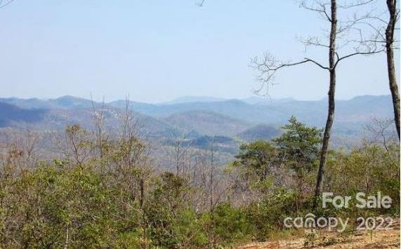 Lot 361 Hickory Nut Lane Lake Lure NC 28746