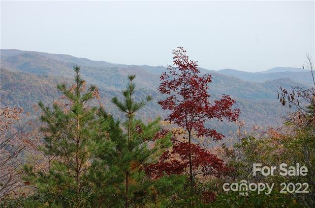 Lot 361 Hickory Nut Lane Lake Lure NC 28746