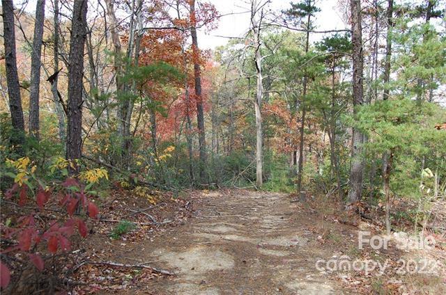 Lot 361 Hickory Nut Lane Lake Lure NC 28746