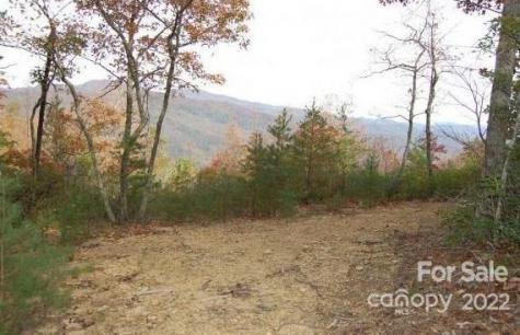 Lot 361 Hickory Nut Lane Lake Lure NC 28746