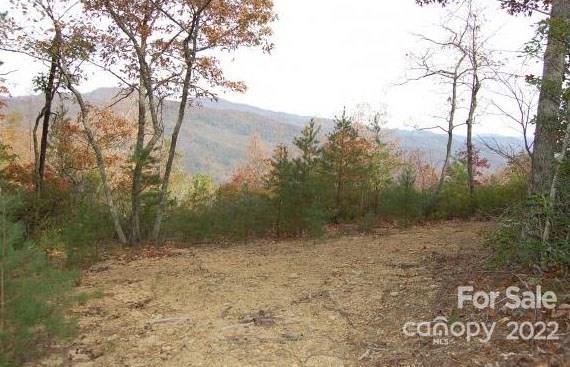 Lot 361 Hickory Nut Lane Lake Lure NC 28746