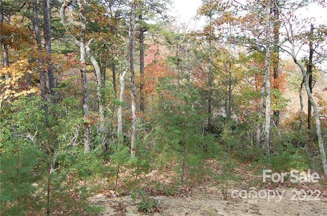 Lot 361 Hickory Nut Lane Lake Lure NC 28746