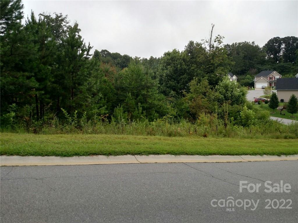 64 River Walk Drive Woodfin NC 28804