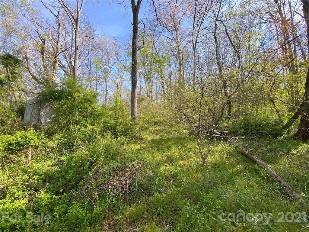 5361 Old Clyde Road Clyde NC 28721