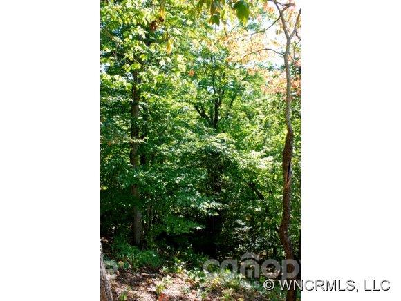 8 Whitman Lane Black Mountain NC 28711