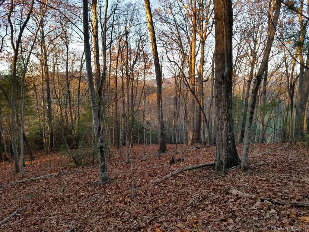 23 Windy Ridge Fairview NC 28730