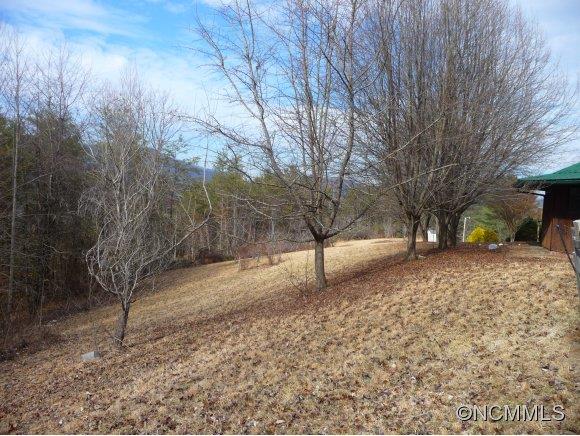 3944 New Leicester Highway Leicester NC 28748