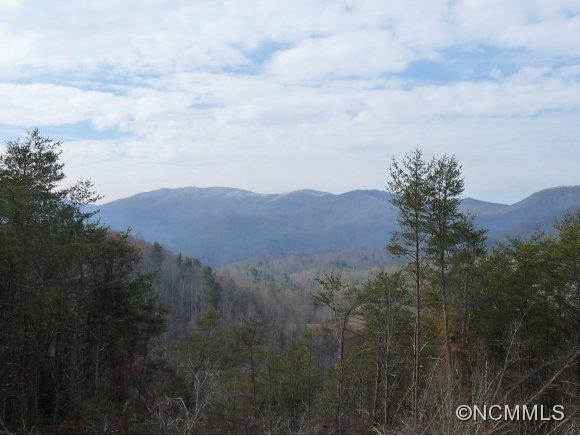 3944 New Leicester Highway Leicester NC 28748