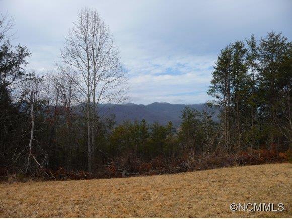 3944 New Leicester Highway Leicester NC 28748