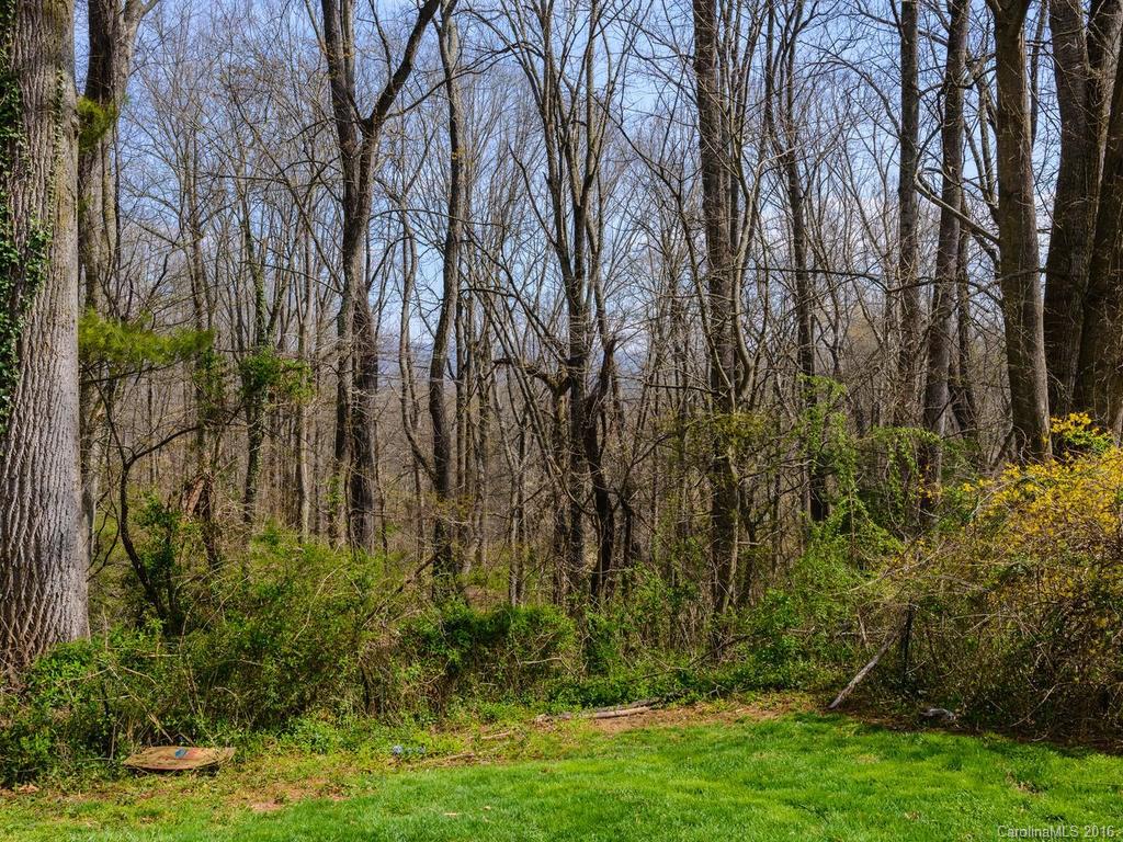 338 Riverview Drive Asheville NC 28806