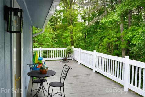 9 Tracy Lane Weaverville NC 28787