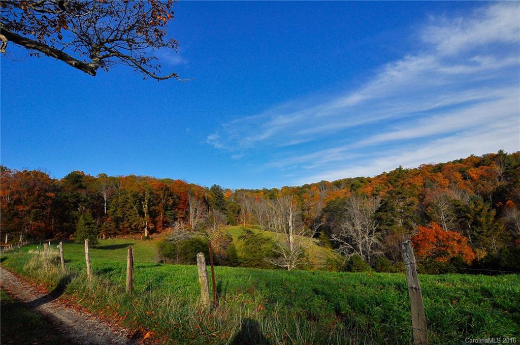 39 Wright Farm Road Candler NC 28715