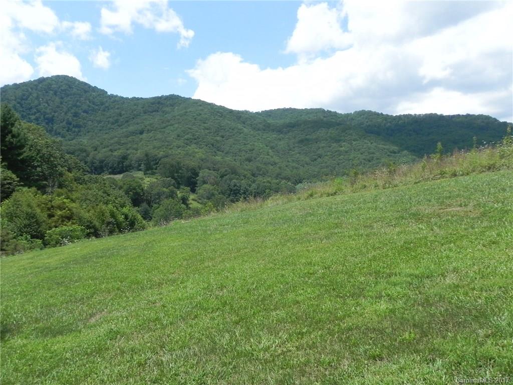 766 South Turkey Creek Road Leicester NC 28748
