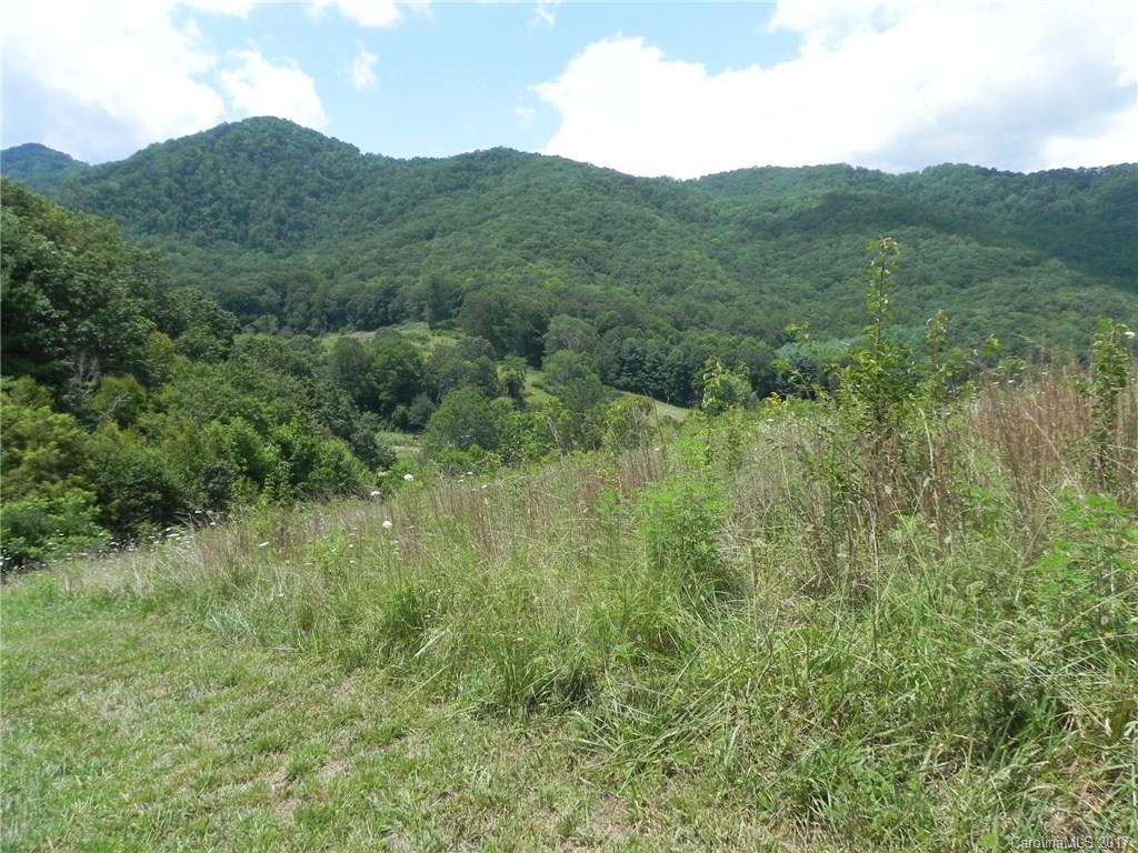 766 South Turkey Creek Road Leicester NC 28748