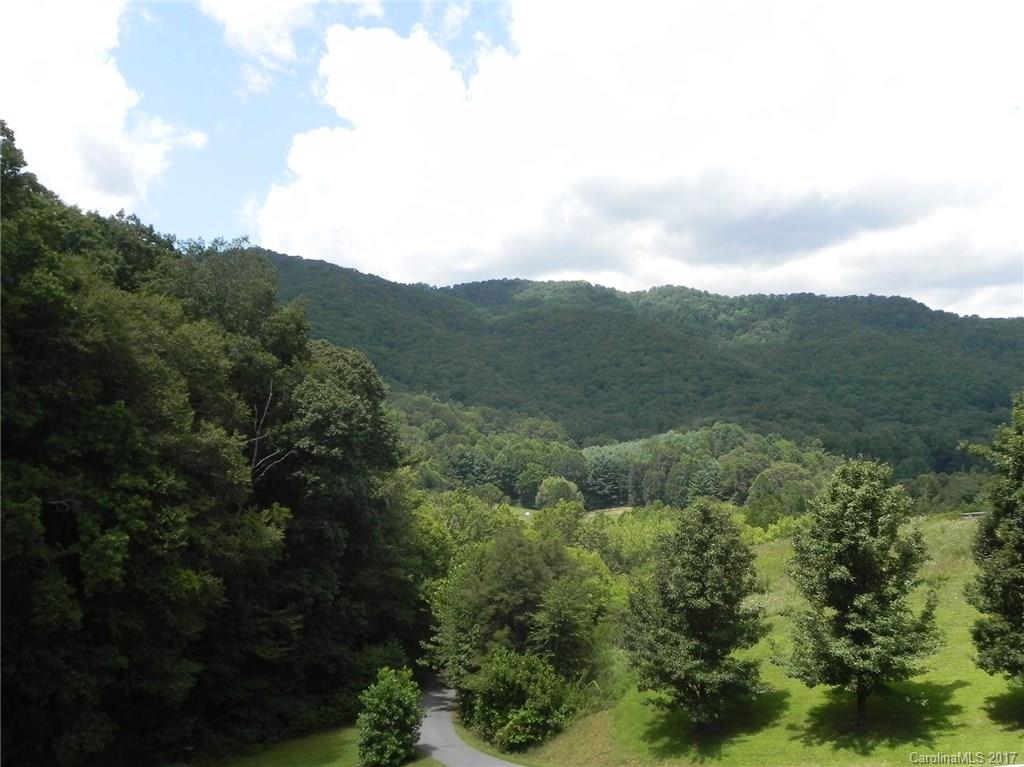 766 South Turkey Creek Road Leicester NC 28748