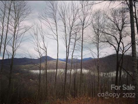 103 Little Bee Lane Swannanoa NC 28778