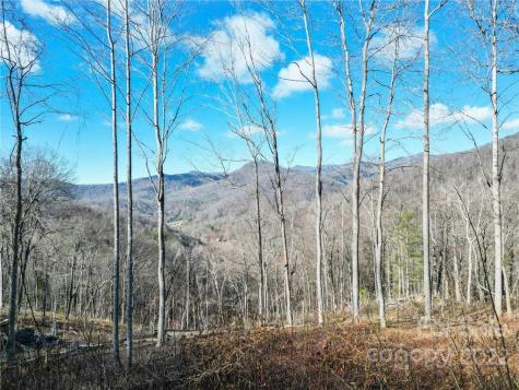 103 Little Bee Lane Swannanoa NC 28778