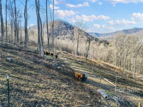 103 Little Bee Lane Swannanoa NC 28778