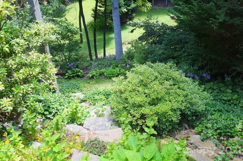 7 Brody Trail Asheville NC 28804