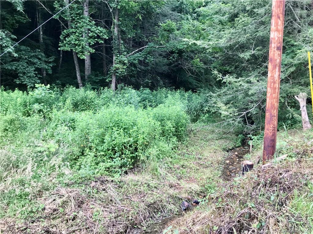 119 Black Branch Road Canton NC 28716