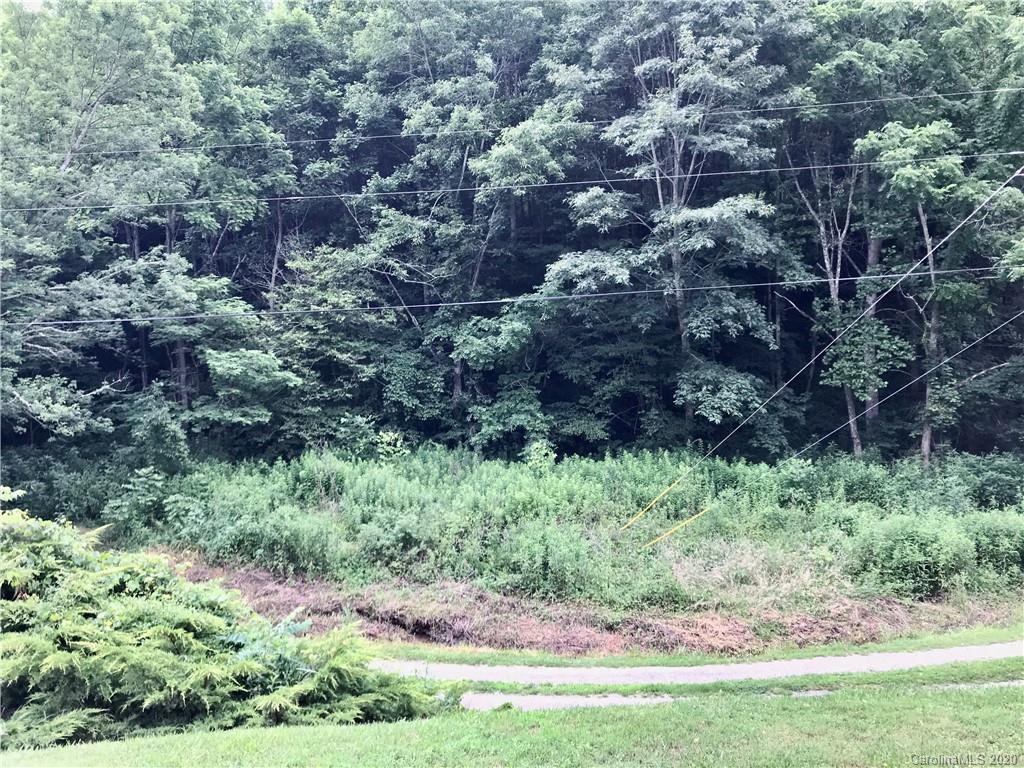 119 Black Branch Road Canton NC 28716