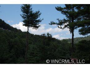 17 Beaverbrook Road Asheville NC 28804