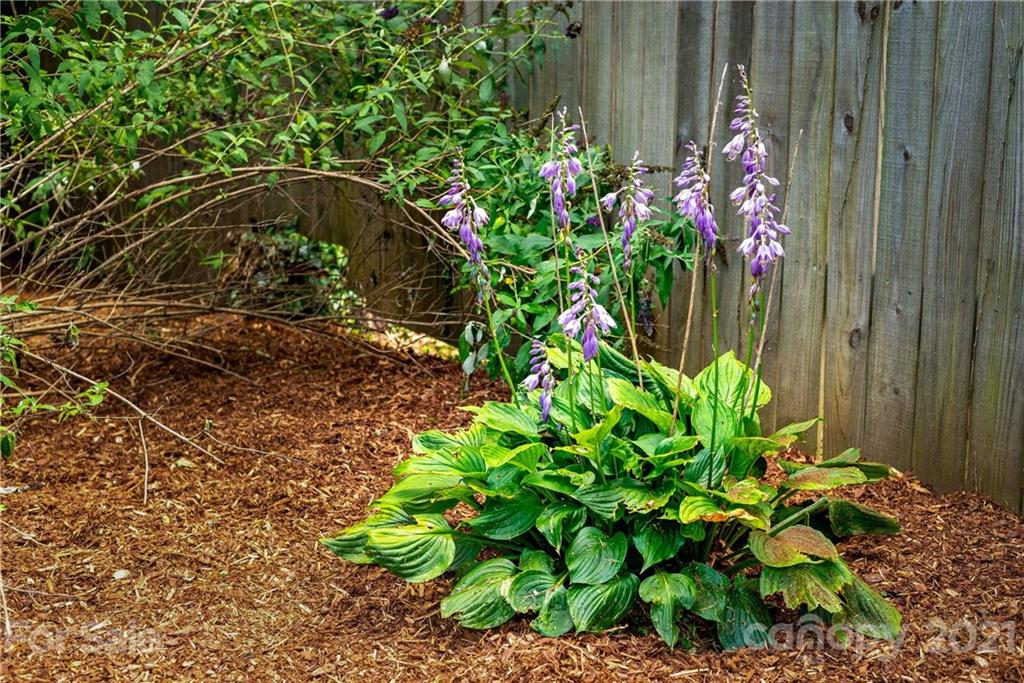 44 Harvard Place Asheville NC 28806