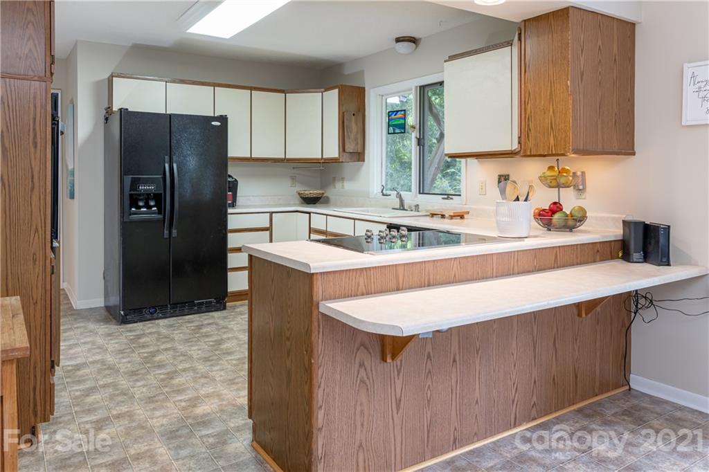 17 Beaverdam Court Asheville NC 28804