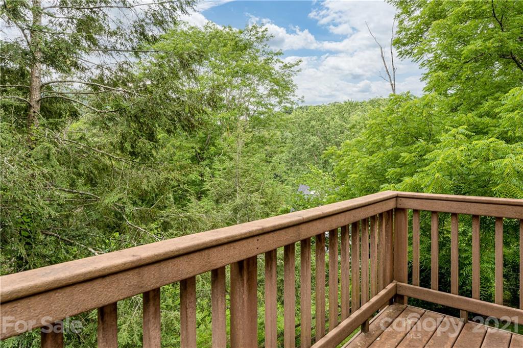 17 Beaverdam Court Asheville NC 28804