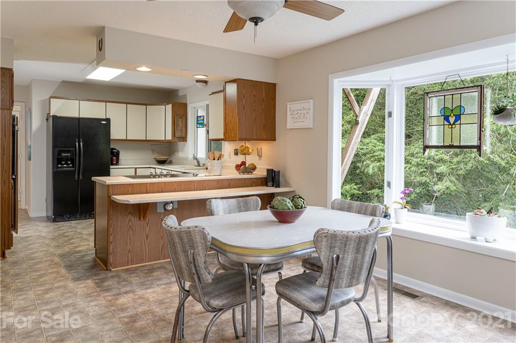 17 Beaverdam Court Asheville NC 28804
