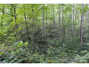 8 Robinson Cove Road Candler NC 28715