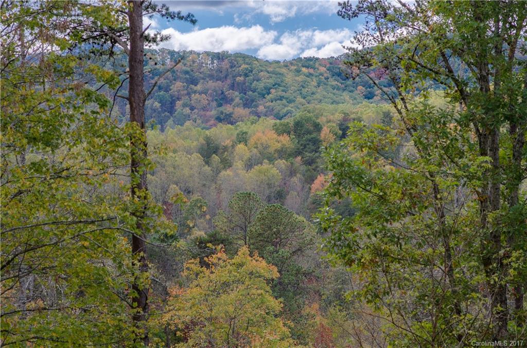 51 Creek Run Road Candler NC 28715