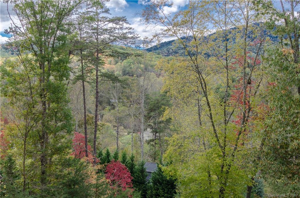51 Creek Run Road Candler NC 28715