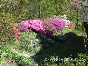 23 Morse Drive Asheville NC 28806