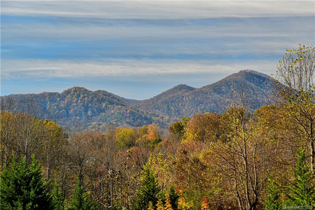 118 Lost Trail Drive Candler NC 28715