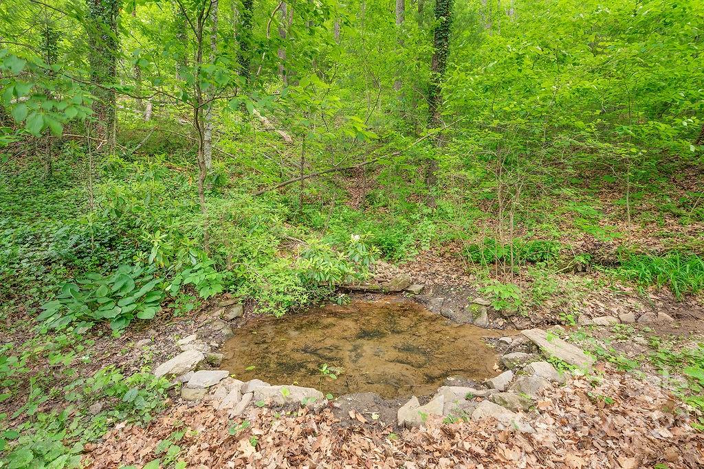 50 Lawterdale Road Asheville NC 28804