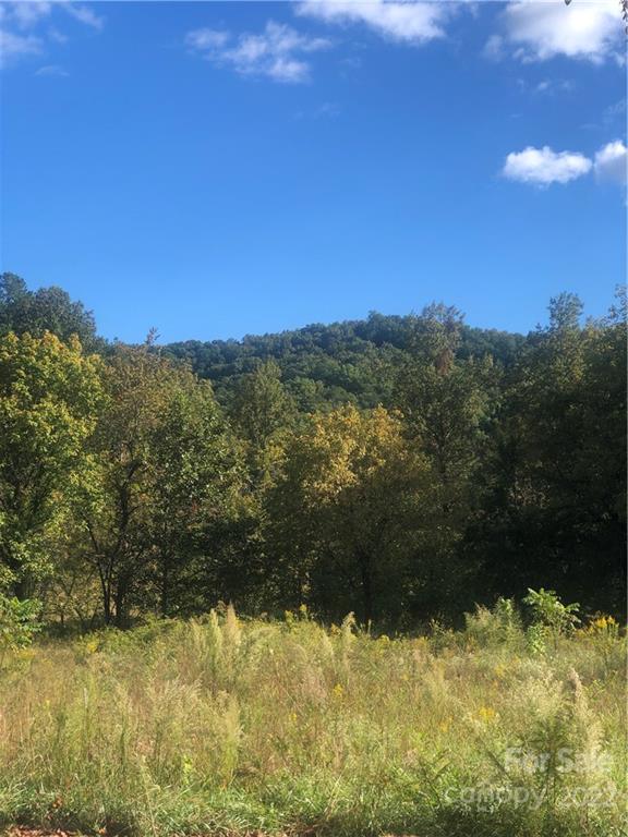 429 Tight Run Loop Road Union Mills NC 28167