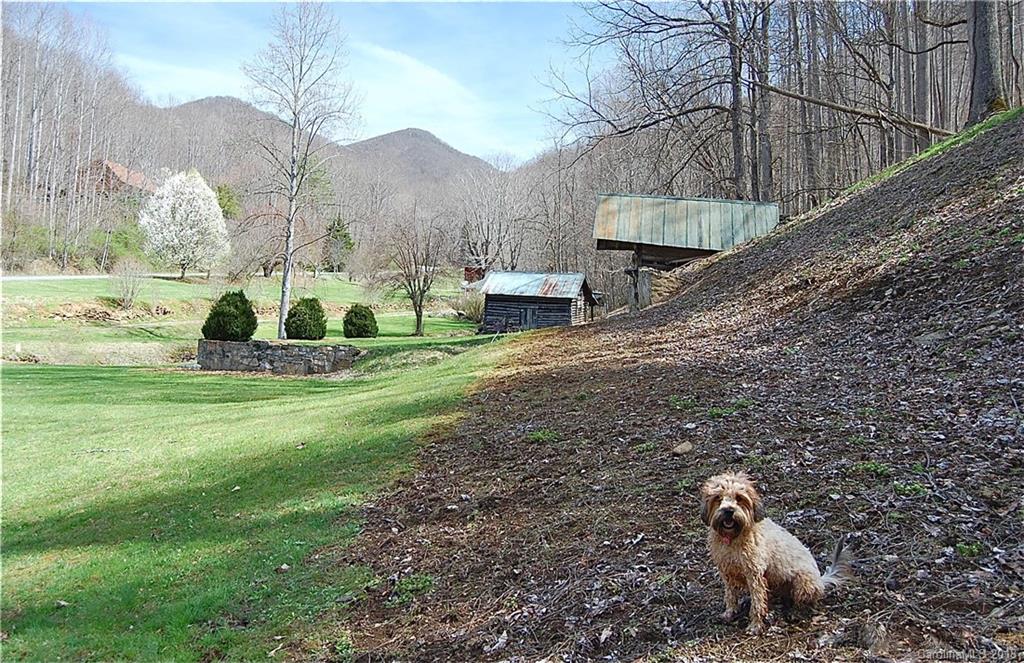 295 Martins Creek Road Barnardsville NC 28709