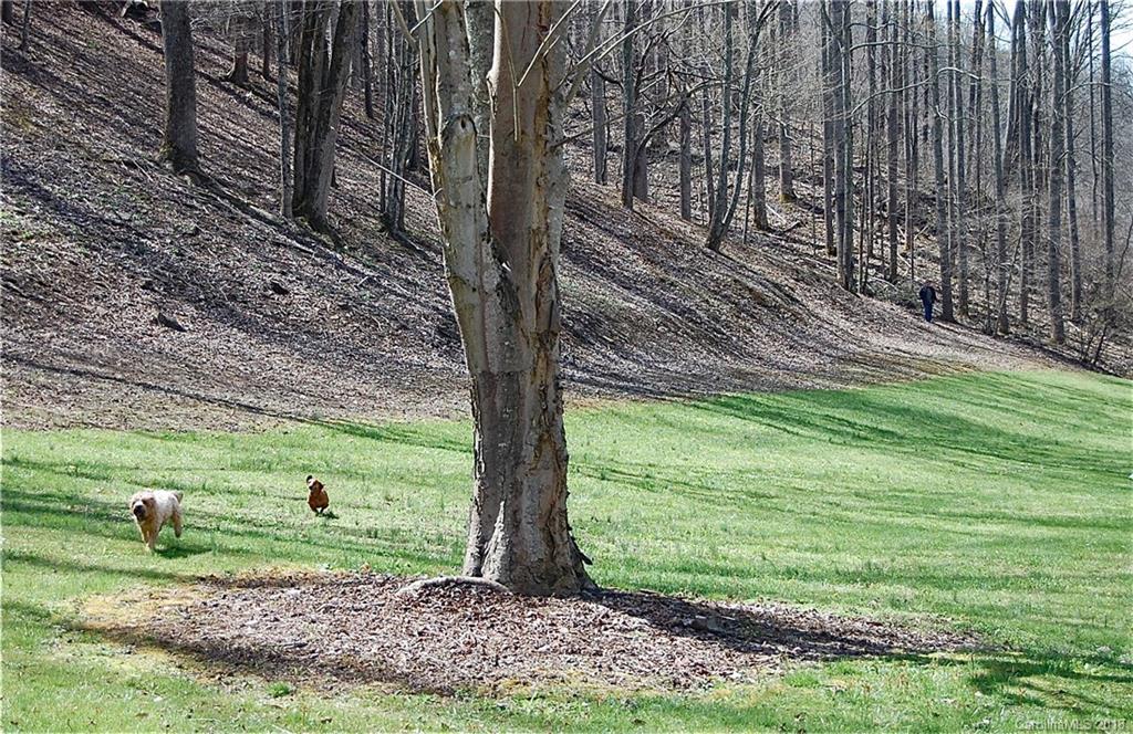 295 Martins Creek Road Barnardsville NC 28709