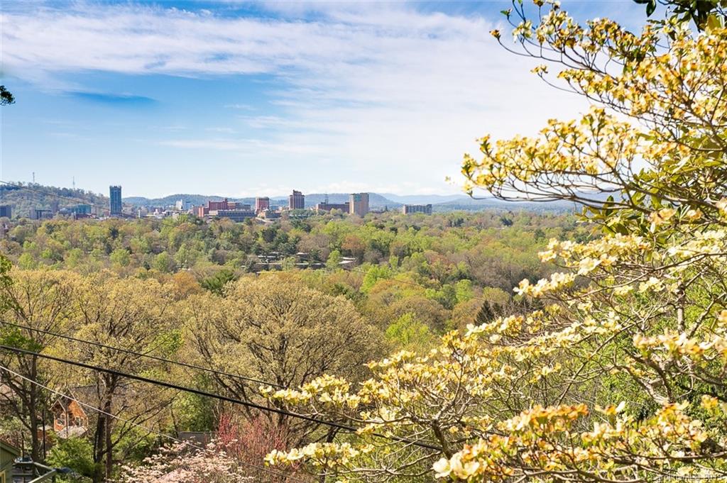 129 Lookout Drive Asheville NC 28804