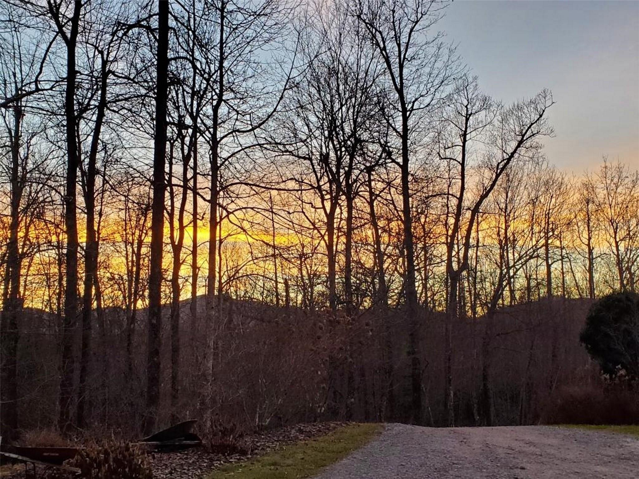15 Lacie Fern Lane Black Mountain NC 28711