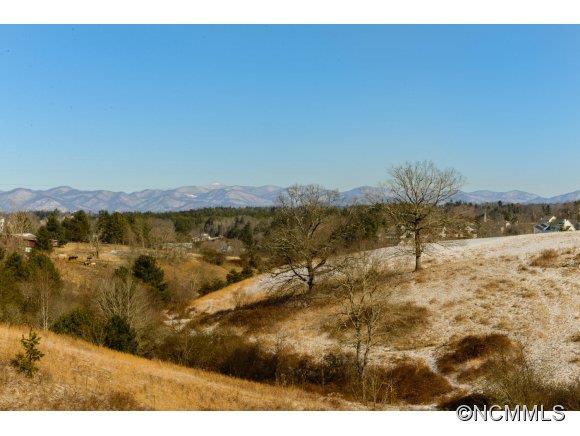 829 New Stock Road Weaverville NC 28787