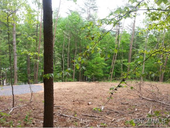 2142 Riceville Road Asheville NC 28805