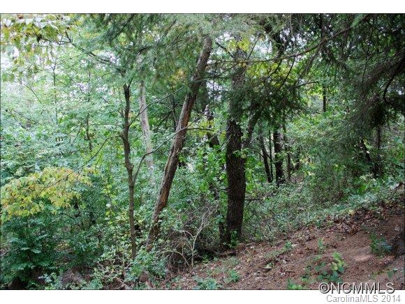 15 Revonda Drive Asheville NC 28804