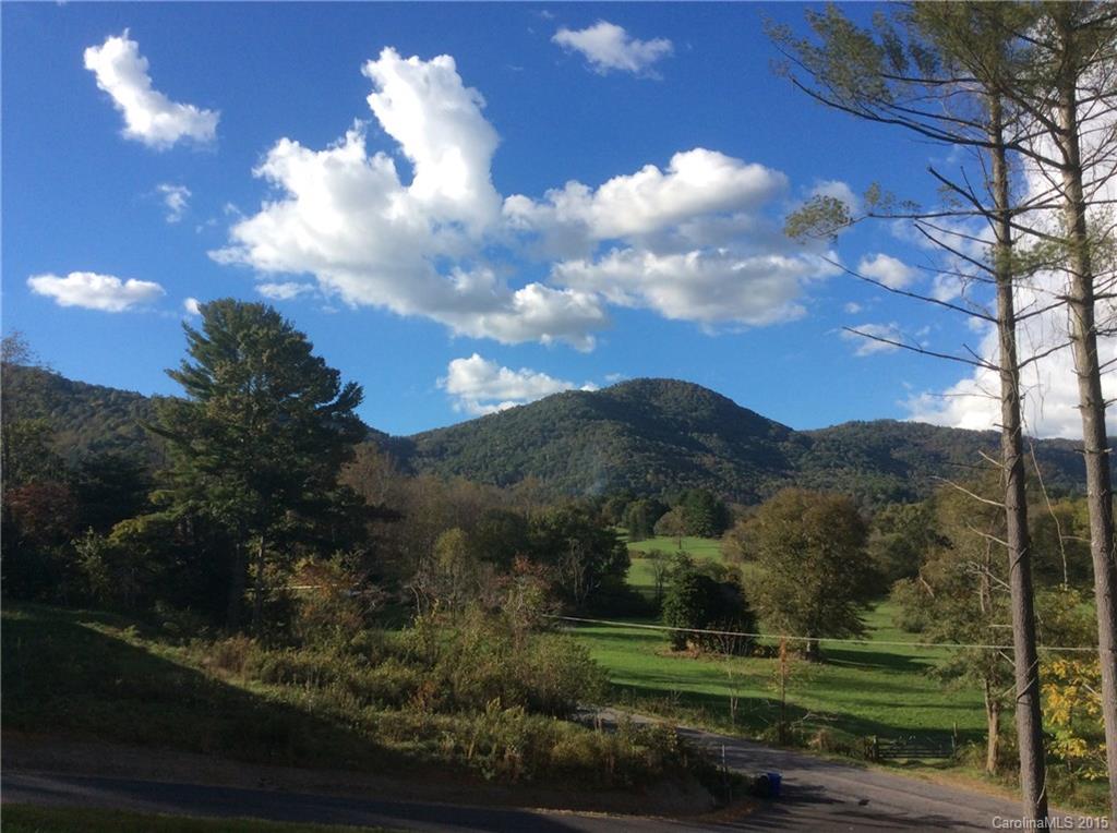 4 Turtledove Trail Asheville NC 28805