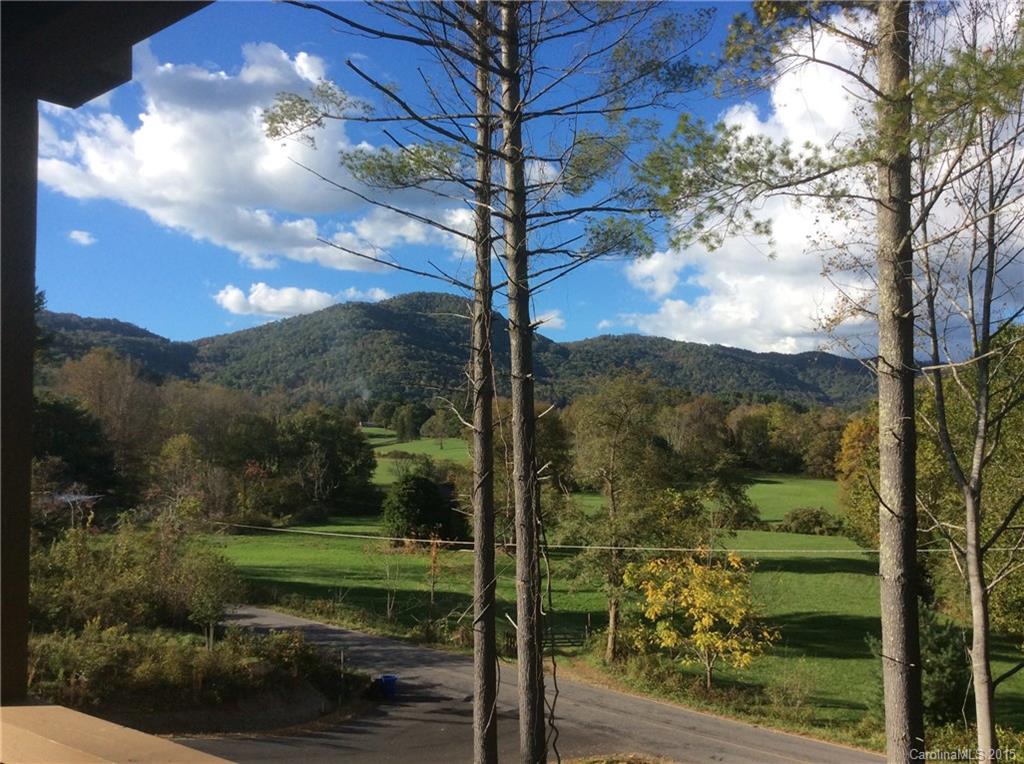 4 Turtledove Trail Asheville NC 28805